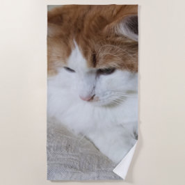 Toalha De Praia Contemplação do Gatinho (Rico Felino): Foto Cat