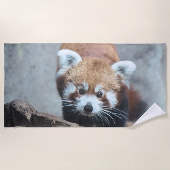 Toalha De Praia Coroa (Frente)