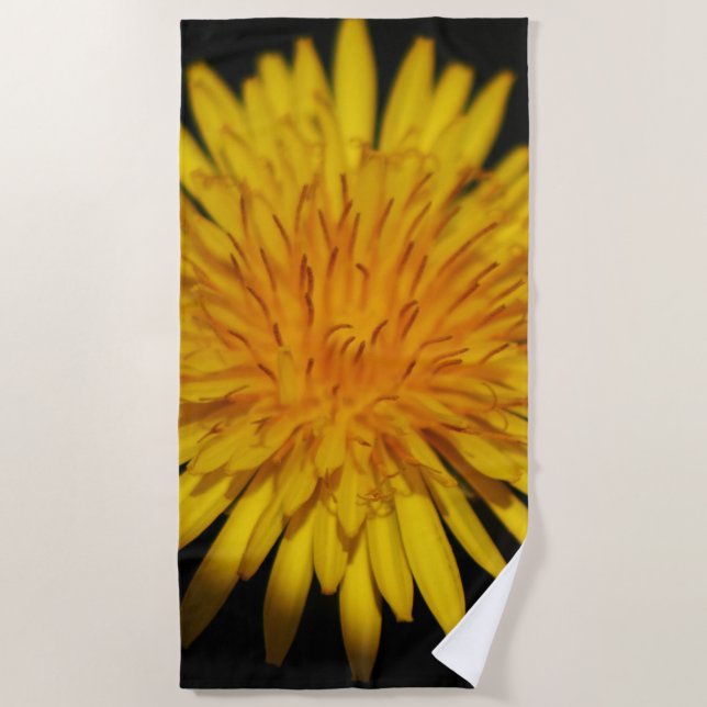 Toalha De Praia Dandelion Flower btcna (Frente)