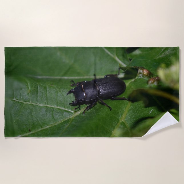 Toalha De Praia Dorcus parallelipipedus , o escaravelho inferior (Frente)