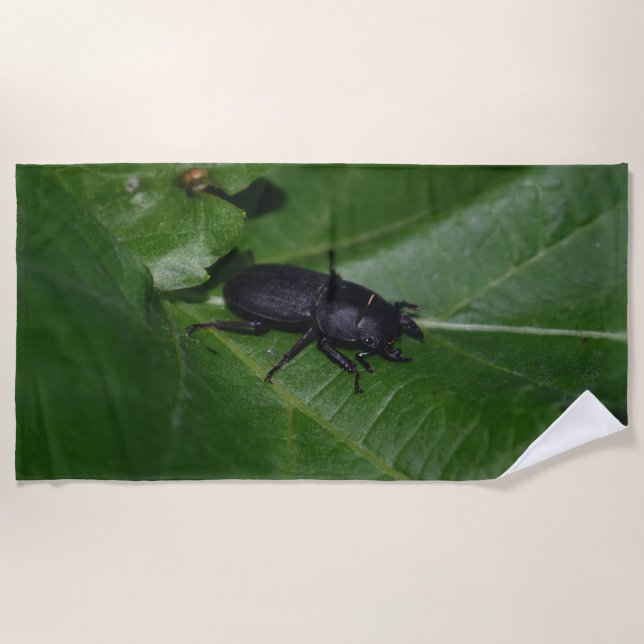 Toalha De Praia Dorcus parallelipipedus , o escaravelho inferior (Frente)