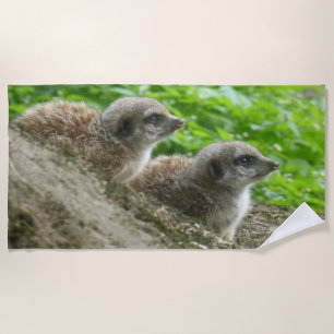 Toalha De Praia Duas Torre de Praia de Meerkats