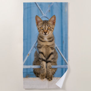 Toalha De Praia Gatinho Gatinho Gato-de-Nosé-Bonito Sentado numa C
