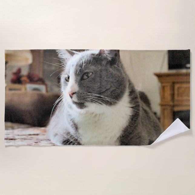 Toalha De Praia Gato (Frente)