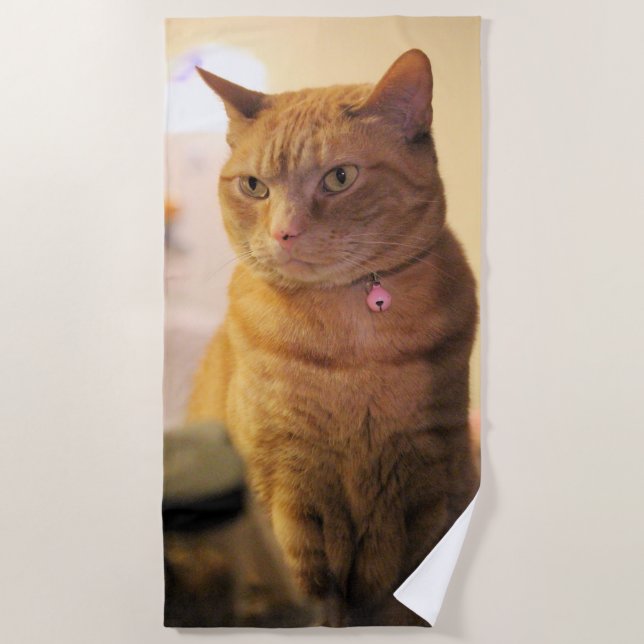 Toalha De Praia Gato (Frente)