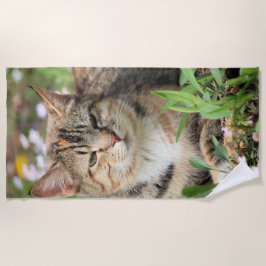 Toalha De Praia Gato