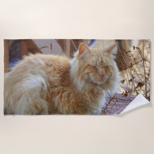 Toalha De Praia Ginger George (Frente)