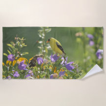 Goldfinch em uma Flor Harebell