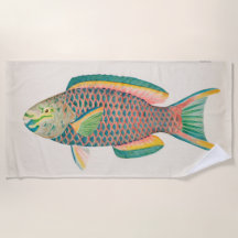 Ilustração Científica Dos Peixes Vintage