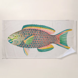 Toalha De Praia Ilustração Científica Dos Peixes Vintage