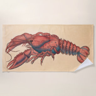Toalha De Praia James Sowerby Sernotated Lobster
