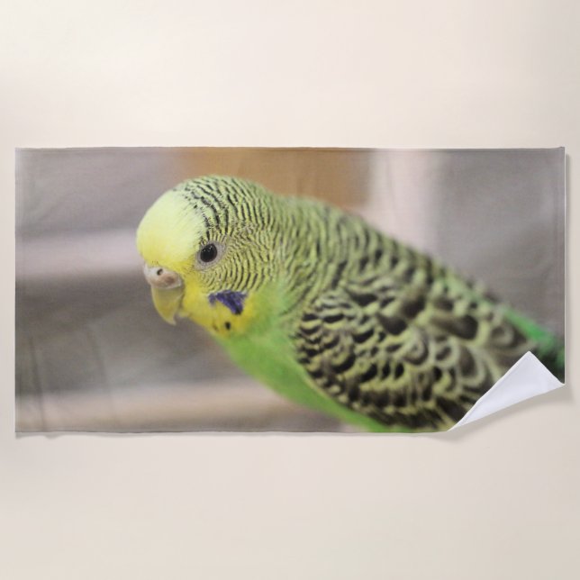 Toalha De Praia Kiwi (Frente)