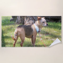 Toalha De Praia Lily Beach Towel