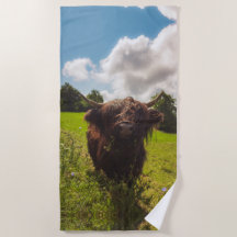 Luz verde do campo verde da vaca em lata negra