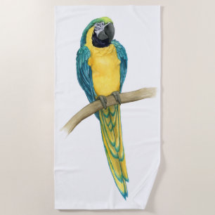 Toalha De Praia Macaw