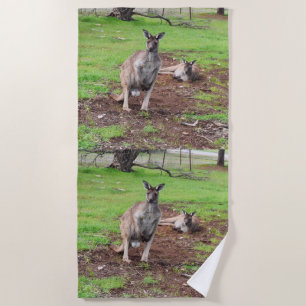 Toalha De Praia Male Australian Kangaroo, Beach Towel