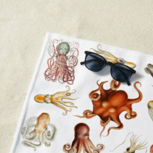 Toalha De Praia Octopus Cephaloposo Oceânico