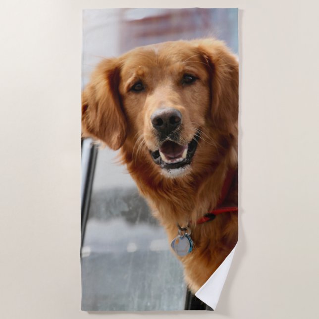 Toalha De Praia Olá (Frente)