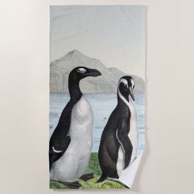 Toalha De Praia Par De Pinguins - (Frente)