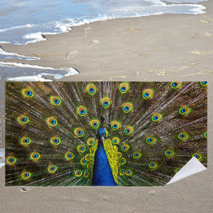 Toalha De Praia Pavão colorido