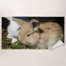 Pequenos coelhos fofos bonitos