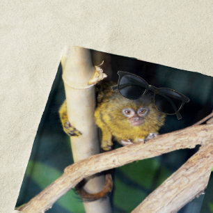 Toalha De Praia Pygmy Marmoset Tree Hugger, Beach Towel