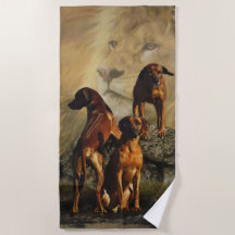 Ridgeback da Rodésia com Leão