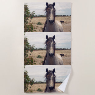Toalha De Praia Star The Arab Pony,