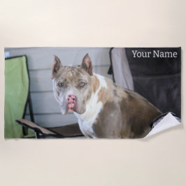 Toalha De Praia Touro