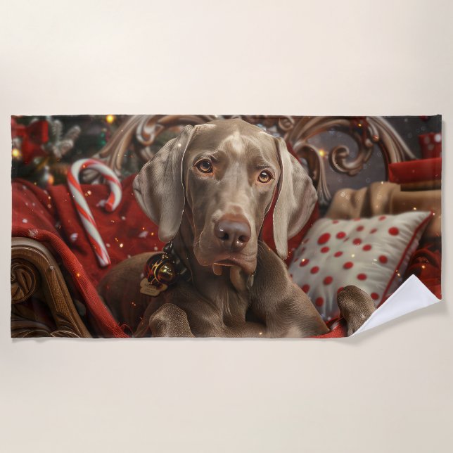 Toalha De Praia Weimaraner Cão Festivo de Natal (Frente)