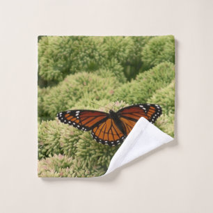 Toalha De Rosto Borboleta Viceroy Belo Caráter Fotografia