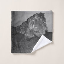 O cão de Polory (preto e branco)