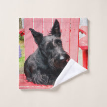 Pequeno Scottie em uma Grande Cadeira Vermelha
