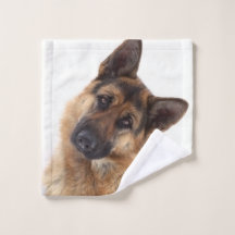 Retrato de german shepherd engraçado