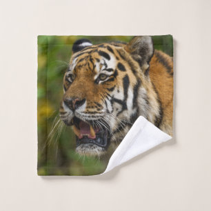 Toalha De Rosto Tiger Mostrando Seus Dentes