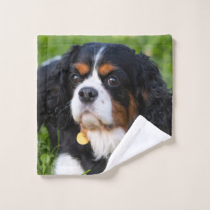 Toalha De Rosto Tricolor Cavalier King Charles Spaniel Puppy Dog