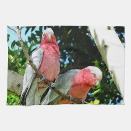 Toalha Galah (Cockatoo cor-de-rosa de Breasted)