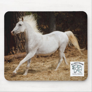 Toda sobre Mousepad eqüino que caracteriza Ziggy