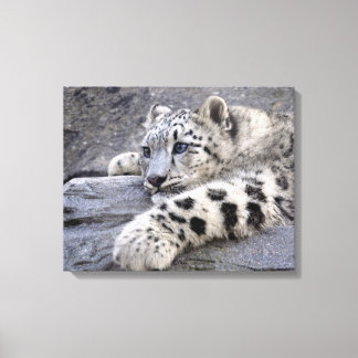 Todas as Canvas de Impressão de Reprodução