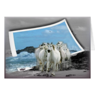 Todo o cartão da ocasião