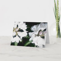 Todo o cartão da ocasião (vazio para dentro)