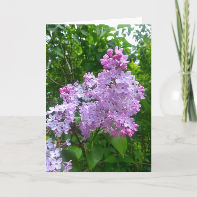 Todo o cartão da ocasião (vazio para dentro) (Frente)