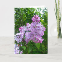 Todo o cartão da ocasião (vazio para dentro)