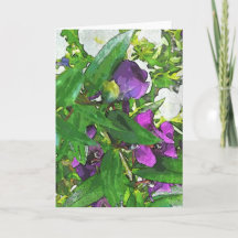 Todo o cartão da ocasião (vazio para dentro)