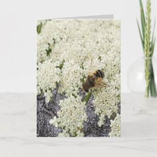 Todo o cartão do couro do preto do laço da rainha