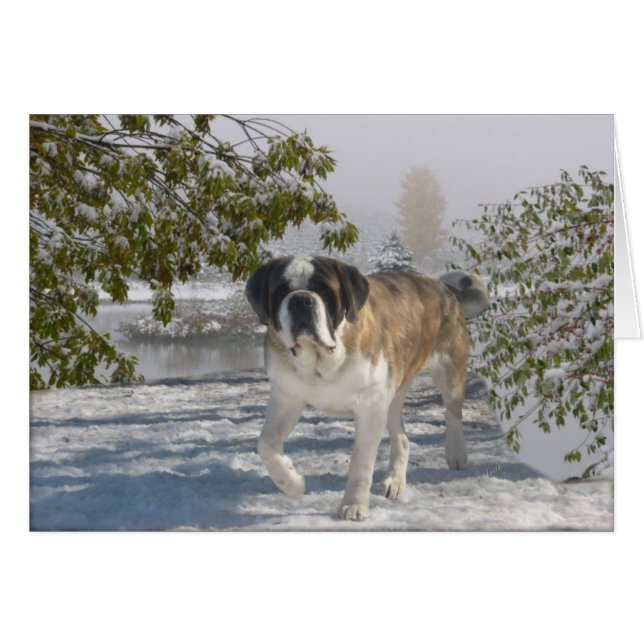 Todo o cartão gretting da ocasião (Frente Horizontal)