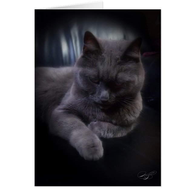 Todo o cartão (vazio) das ocasiões (Frente)