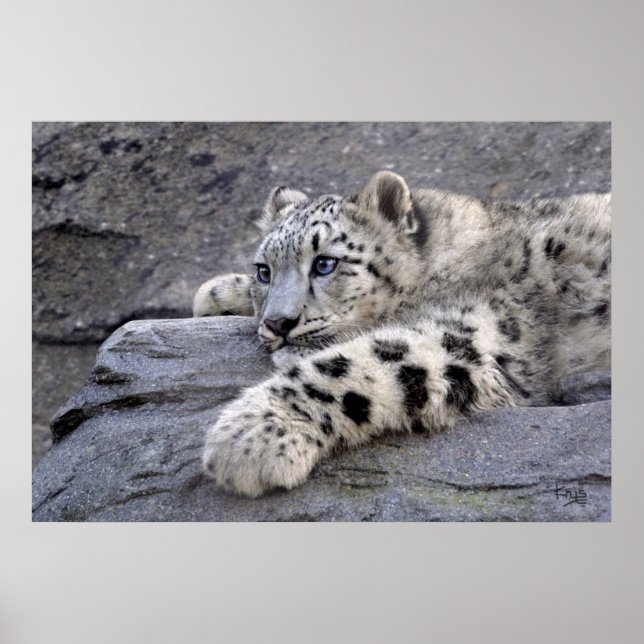 Todos Jogados fora Impressão (Frente)