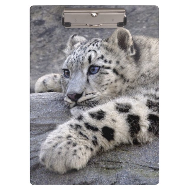 Todos jogaram para fora a prancheta (Frente)