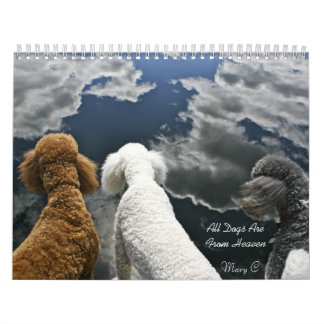 Todos os cães são do calendário do céu